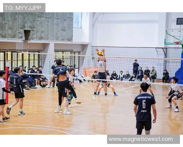 西安排球队的比赛经验变革引发热议与思考